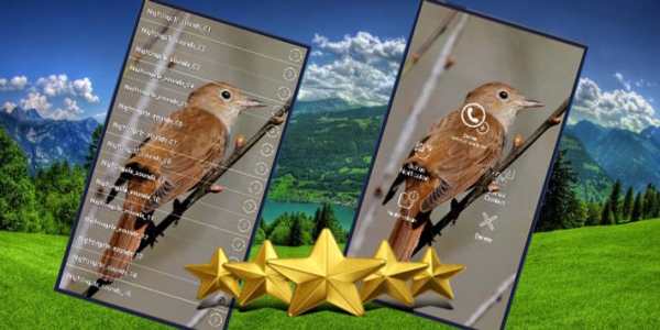 Common Nightingale Bird Sounds : Nightingale Song screenshot 1