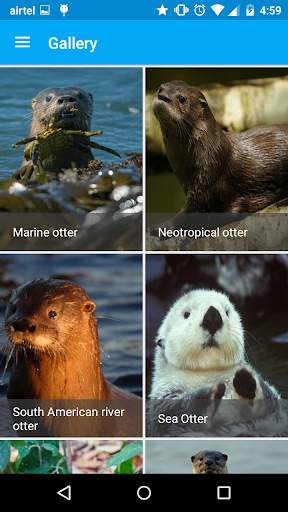 Otter Spotter screenshot 6