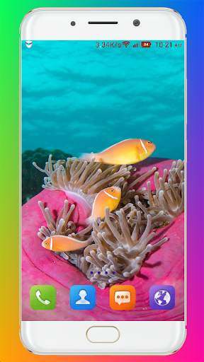 Aquarium Wallpaper HD screenshot 3