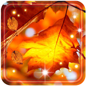Autumn Sunset Flowers HQ LWP icon