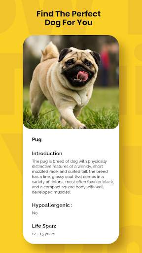 Dog training, Dog Tricks screenshot 5