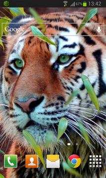 Tiger Live Wallpaper screenshot 2