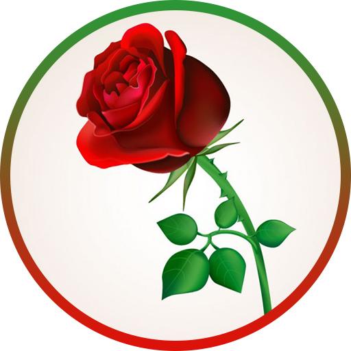 Lovely Rose Wallpaper icon