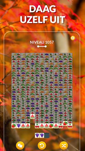 Zen-Match screenshot 2