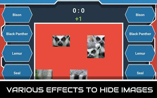 Animal Quiz - 2 Players screenshot 4