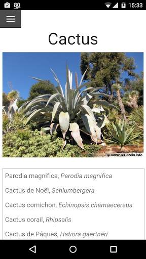 Au Cactus screenshot 1