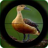 Extreme Jungle Birds Hunting 1.0