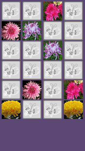Chrysanthemum Memory Game screenshot 2