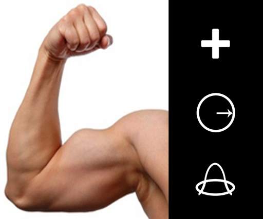 Muscle Editor - Bodybuilding screenshot 1