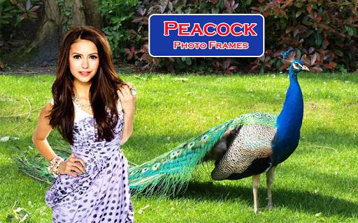 Peacock Photo Frames screenshot 4