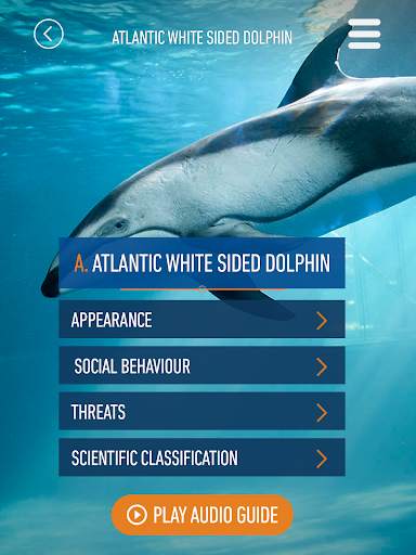 Whales of Iceland Audio Guide! screenshot 8
