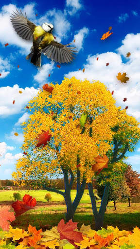 Picturesque Nature Live Wallpaper screenshot 1