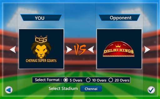 Indian Cricket Premium League screenshot 11