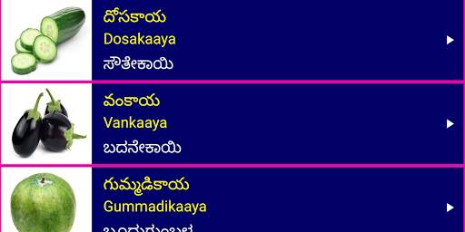 Learn Telugu From Kannada screenshot 15