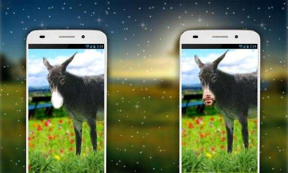 Donkey Photo Editor screenshot 2
