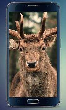 Herd of Deer Live Wallpaper screenshot 1