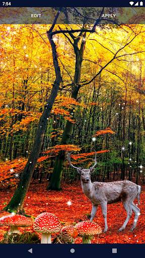 Forest Live Wallpaper screenshot 5