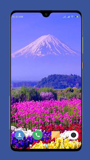 Beautiful Spring Wallpaper  4K screenshot 2