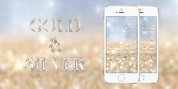 Gold and Silver Theme screenshot 1
