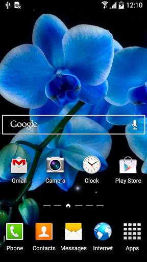 Orchids Wallpaper screenshot 6