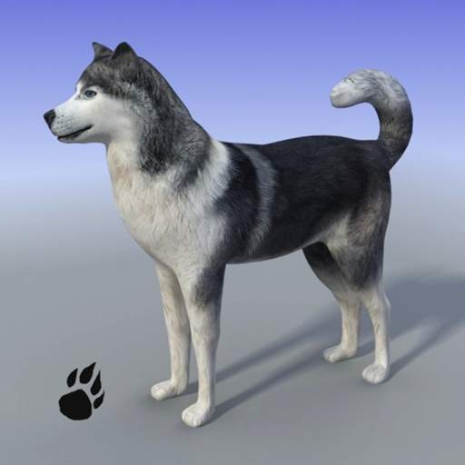 Snow Dog Survival Simulator 1.0