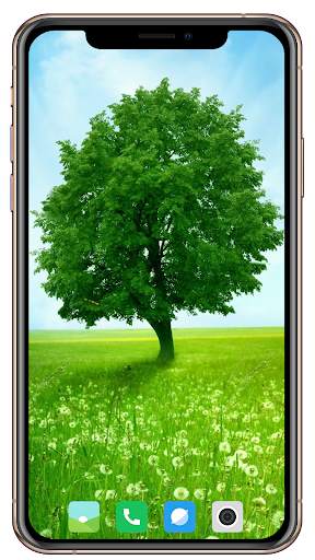 Tree Wallpaper screenshot 3