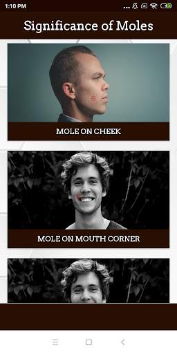 Meaning of Moles screenshot 1