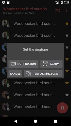 Appp.io - Woodpecker bird sounds screenshot 4