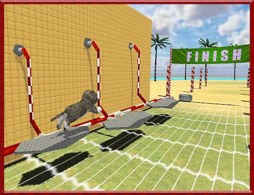 Cat Dog Pets Beach Stunts Sim screenshot 13