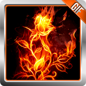 Fire Flower Live Wallpaper icon