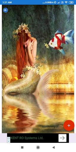 Mermaid HD Wallpapers screenshot 5