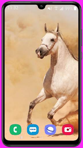 Horse Wallpaper Best HD screenshot 6