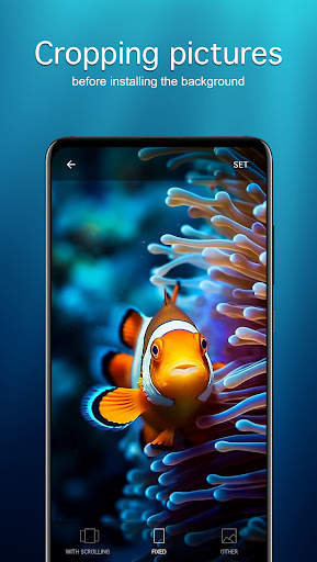 Fish Wallpapers 4K screenshot 4