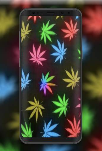 Weed HD Wallpapers and Backgrounds 1 تصوير الشاشة