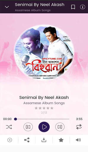 SpicyTune: Assamese Songs Play & Download screenshot 19
