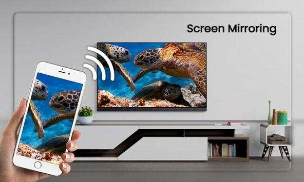 Screen Mirroring screenshot 3