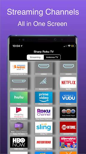 Roku TV Remote Controller : iRoku screenshot 2