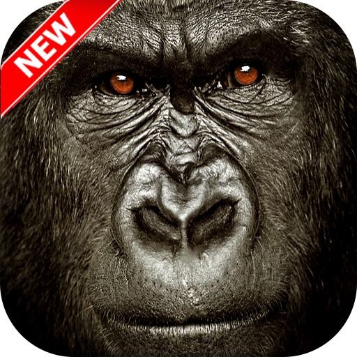 Gorilla Wallpaper иконка