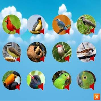 call Bird screenshot 2