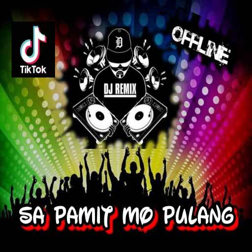 DJ MUNGKIN HARI INI ESOK ATAU NANTI OFFLINE 1.1