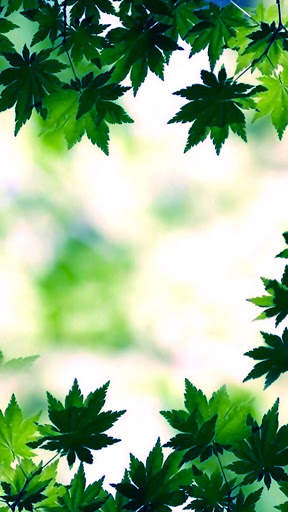 Green Leaf APUS Live Wallpaper screenshot 5