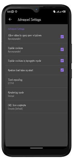 Speed Browser screenshot 5