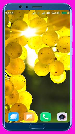 Grapes HD wallpaper screenshot 7