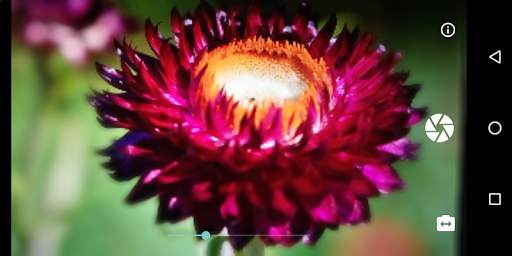 Bokeh Camera (Beta) 1 تصوير الشاشة