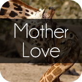 Motherlove icon