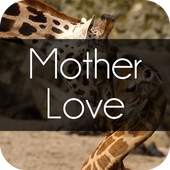Motherlove 6.1.12