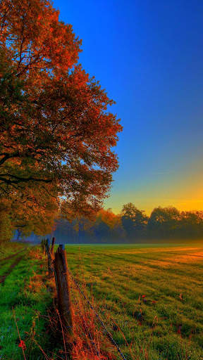 Autumn wallpaper screenshot 5