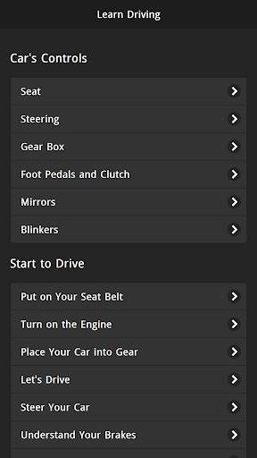 Learn Driving Offline screenshot 1