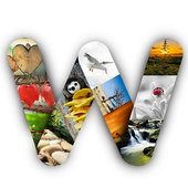 Walpy - HD Wallpapers &amp; Backgrounds icon