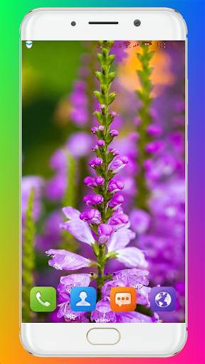 Purple Flower Wallpaper screenshot 13